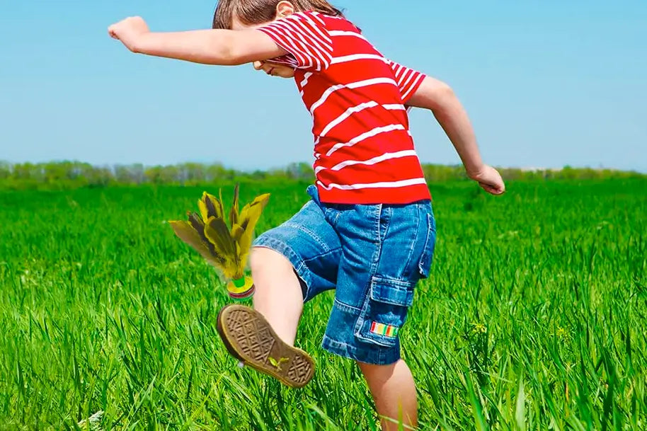 chinese Jianzi Sport